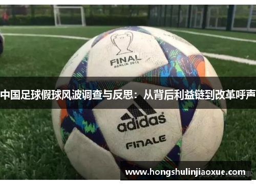 中国足球假球风波调查与反思：从背后利益链到改革呼声