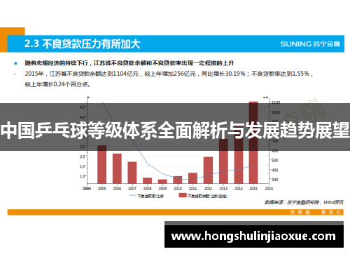 中国乒乓球等级体系全面解析与发展趋势展望