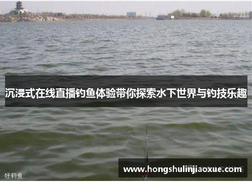 沉浸式在线直播钓鱼体验带你探索水下世界与钓技乐趣
