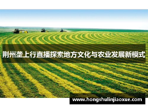 荆州垄上行直播探索地方文化与农业发展新模式